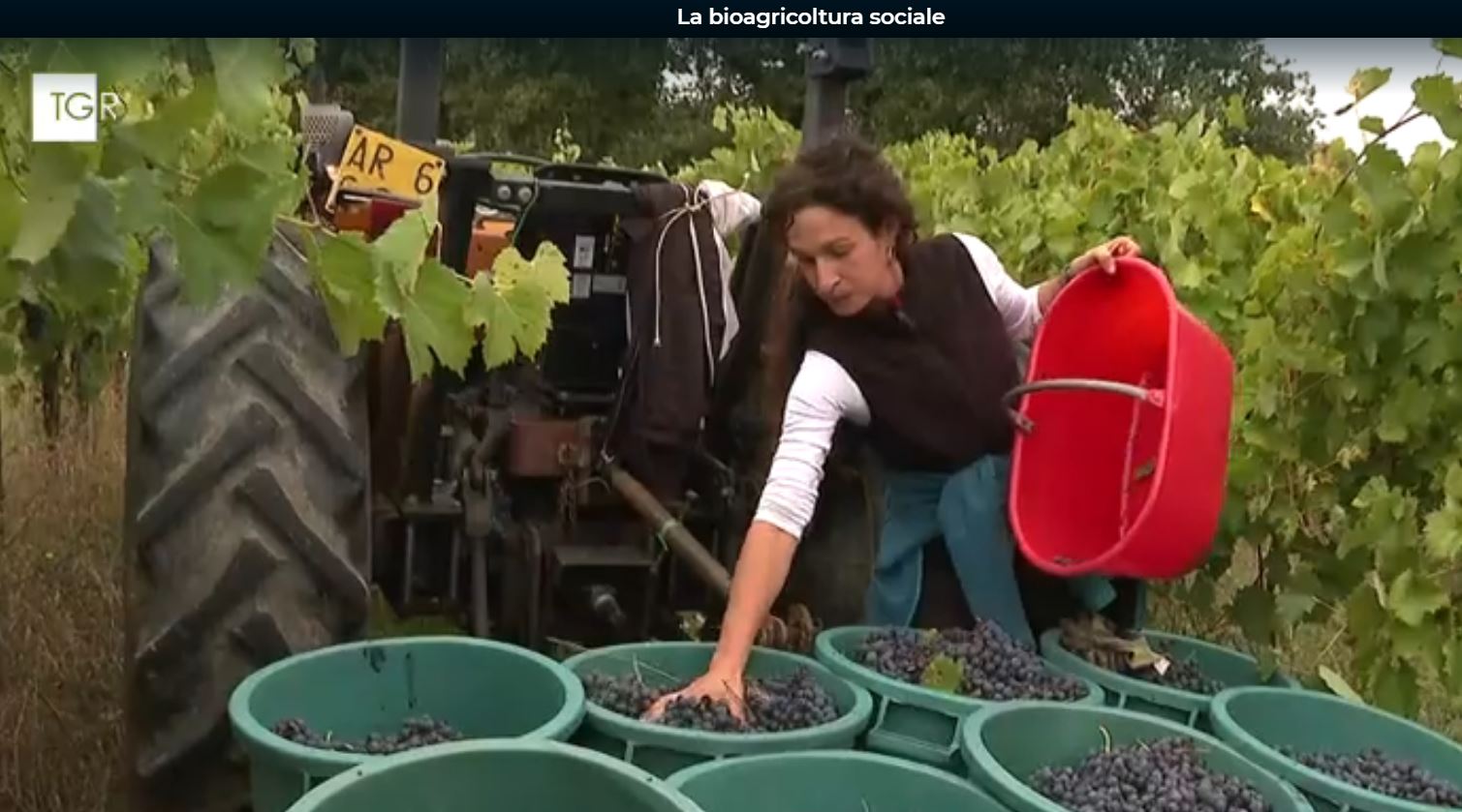 Progetto di bioagricoltura sociale